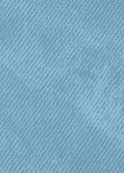 Y36 CHENILLE